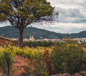 Sant Pere de Ribes